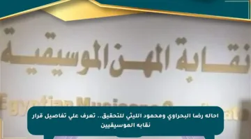 إحالة رضا البحراوي ومحمود الليثي للتحقيق.. تعرف على تفاصيل قرار نقابة الموسيقيين